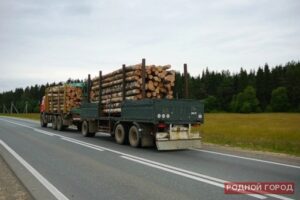 Минприроды и полиция в Волгоградской области проверяют легальность перевозки древесины