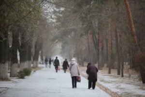 В Волгоград и область придут 9-градусные морозы и дождь со снегом