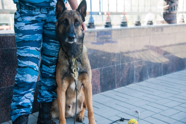 Под Волгоградом больше двух месяцев ищут пропавшую 17-летнюю девушку