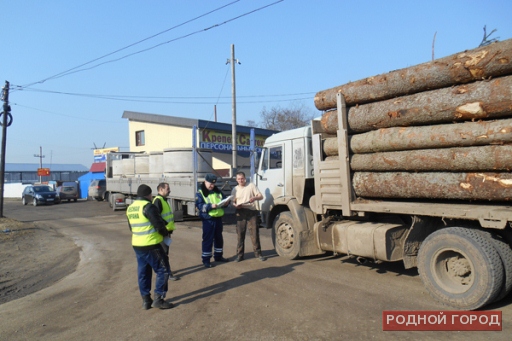 Минприроды Волгоградской области подвело итоги операции «Лесовоз»