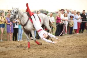 Волгоградцам покажут захватывающие скачки на лошадях