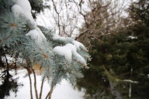 В конце рабочей недели в Волгоградской области ожидают морозы