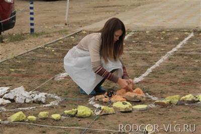 В Волгограде вырос сад цветных камней