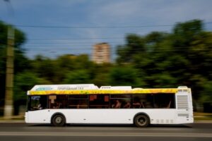 Под Волгоградом три пьяные дачницы напали на водителя автобуса