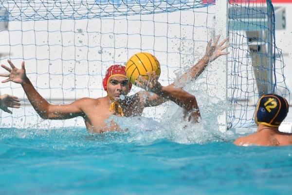 Волгоградцы не помогли сборной России обыграть испанцев