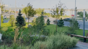 В пойме реки Царицы в Волгограде благоустроили новый экопарк