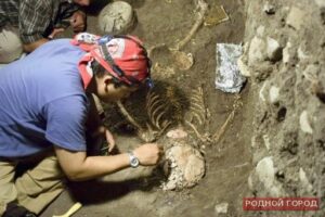 В Волгограде случайно нашли неизвестные братские могилы