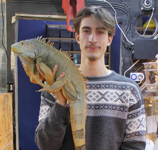 Волгоградец создал мини-город для экзотических животных