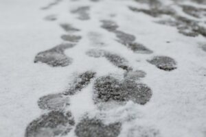 Бывшего главу волгоградского совета профсоюзов выпустили из колонии