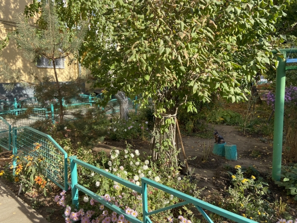 Жители дома в Волгограде жалуются на нерадивую УК и соседей-вредителей