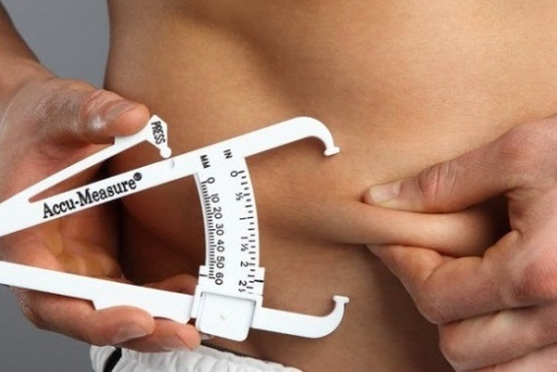 Учёные объяснили, чем полезен жир на животе