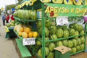 Волгограду добавили 93 «точки» для торговли арбузами и дынями