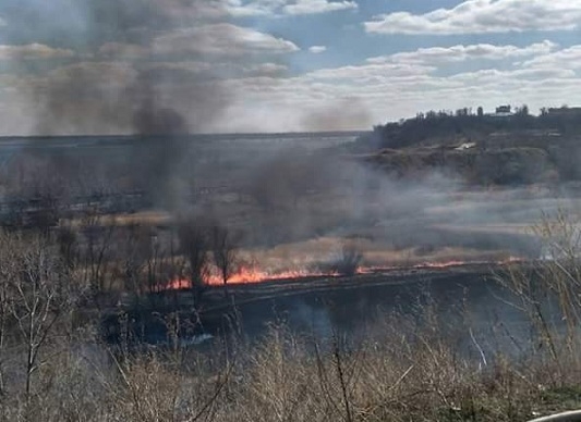 На юге Волгограда очевидцы сфотографировали масштабное возгорание камыша