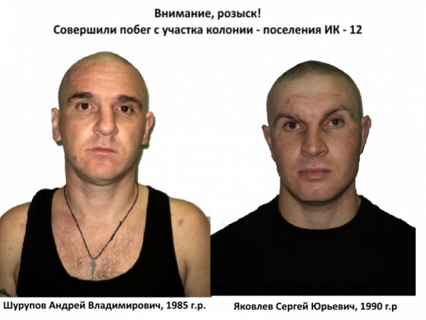Полиция ищет двух беглецов из колонии-поселения в Волгограде