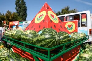 В Волгограде определили 50 точек для торговли арбузами