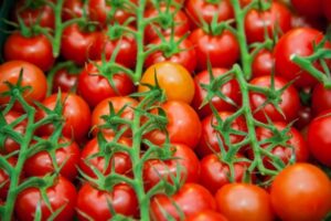 Новый консервный завод откроют под Волгоградом в 2022 году