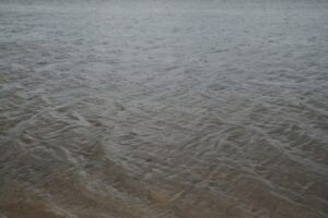 Под Волгоградом в Волге нашли тело утонувшего подводного охотника