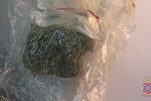 Волгоградские полицейские изъяли наркотики у пассажира автобуса