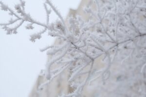 Погода испытает волгоградцев 22-градусным морозом