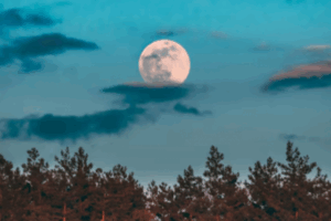 «Осетровую Луну» смогут наблюдать волгоградцы 19 августа