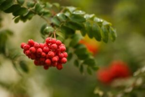 В Волгограде похолодает до + 23 градусов