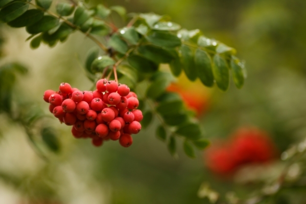 В Волгограде похолодает до + 23 градусов