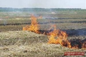 10 га озимых сгорело из-за комбайна в Волгоградской области