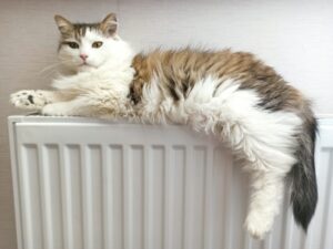 В Волгоградской области продолжается плановое подключение отопления