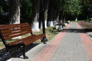 В Волгоградской области открылся летний читальный зал