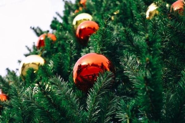 Новогодняя елка в Волгограде появится на новом месте