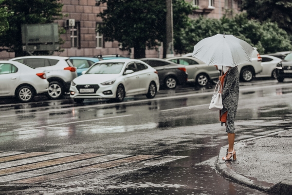 В Волгограде и области 25 апреля пройдут сильные дожди