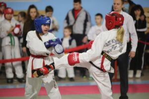 В Волгограде тхэквондисты поборолись за кубок «Сталинградская битва»
