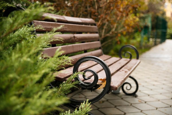 Волгоградцы ищут лавочки, исчезнувшие из центра города