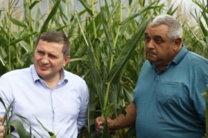 Губернатор проверил площади мелиорации в Котельниковском районе