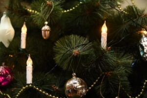 В Волгограде открылся пункт приема елок