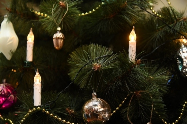 В Волгограде открылся пункт приема елок