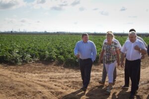 В Волгоградской области появится единый миграционный центр