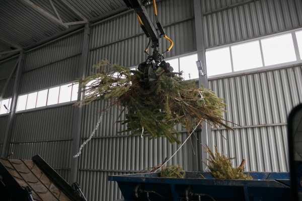 Волгоградец в апреле выбросил новогоднюю елку