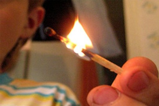 Под Волгоградом дети спалили дом и автомобиль