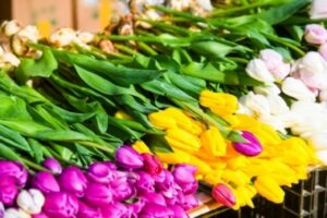 Волгоградцам рассказали, как выбрать идеальный букет к 8 Марта