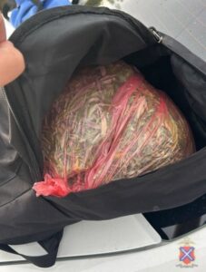 Волгоградские полицейские задержали двух подозреваемых в обороте наркотиков