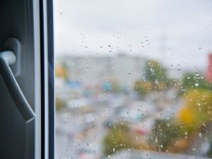 Жителей Волгоградской области предупредили о шторме и ливнях 20 сентября