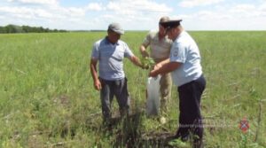 Под Волгоградом незаконно работали более 30 мигрантов