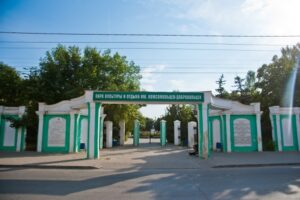 В Камышине Волгоградской области проведут обработку парка от клещей