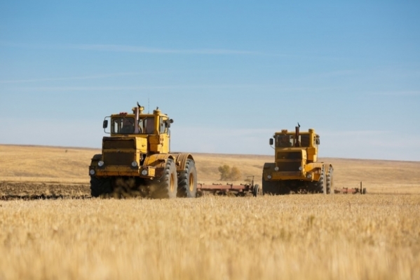 Бочаров находится с выездной инспекцией в Клетском районе