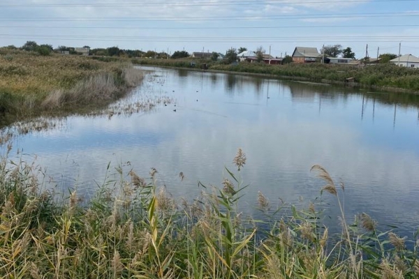 В Волгоградской области займутся расчисткой реки Торгун