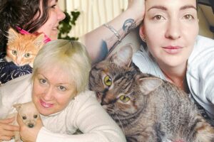 Волгоградские волонтеры рассказали, как стать участником эстафеты добра