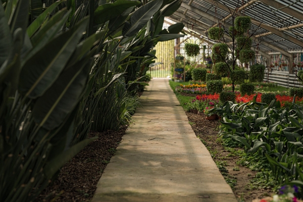 В Волгоградской области ботсад посетили 15 тысяч человек