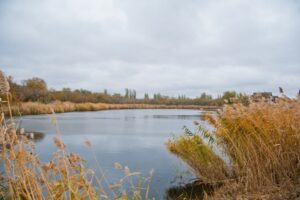 В Волгоградской области пройдет экореабилитация 36 водных объектов