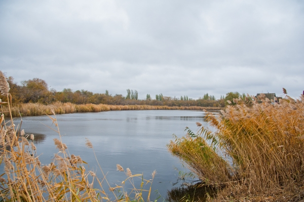В Волгоградской области пройдет экореабилитация 36 водных объектов